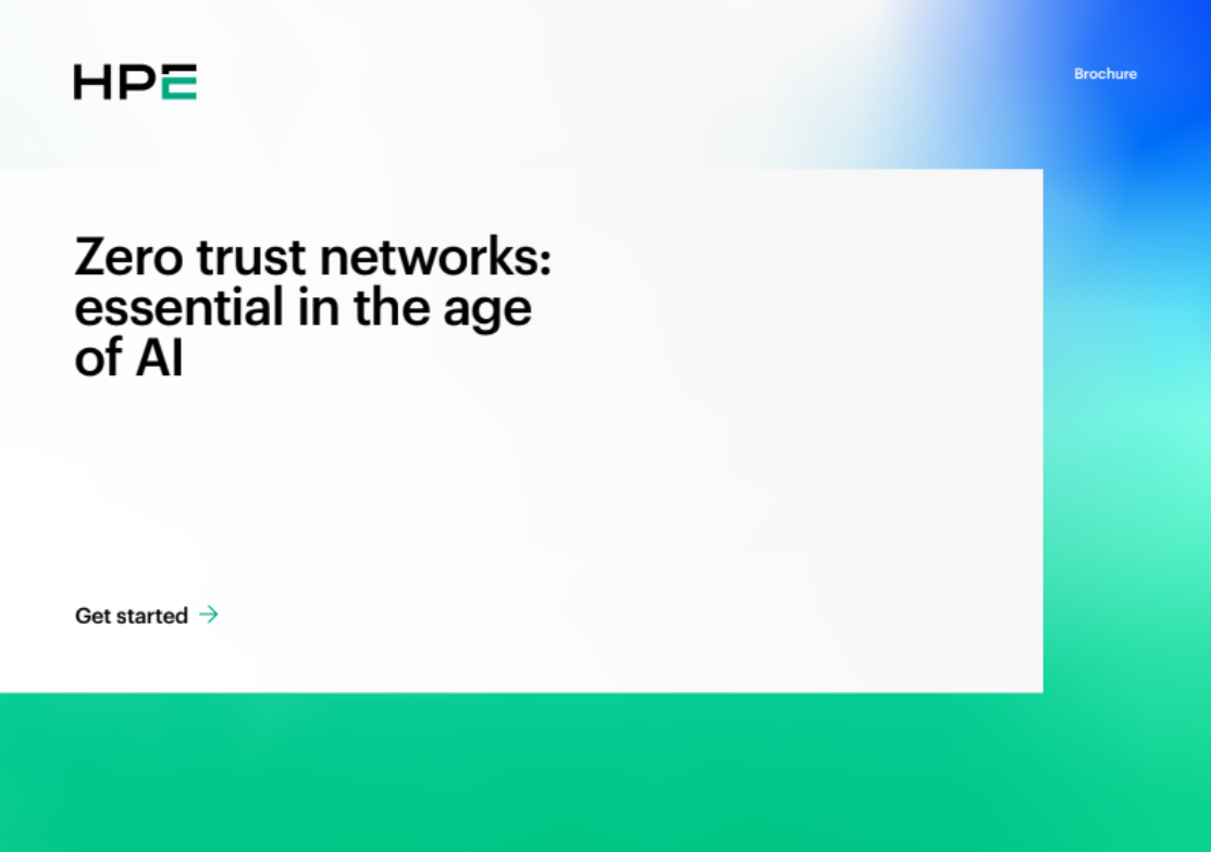 Zero trust networks: essential in the age of AI